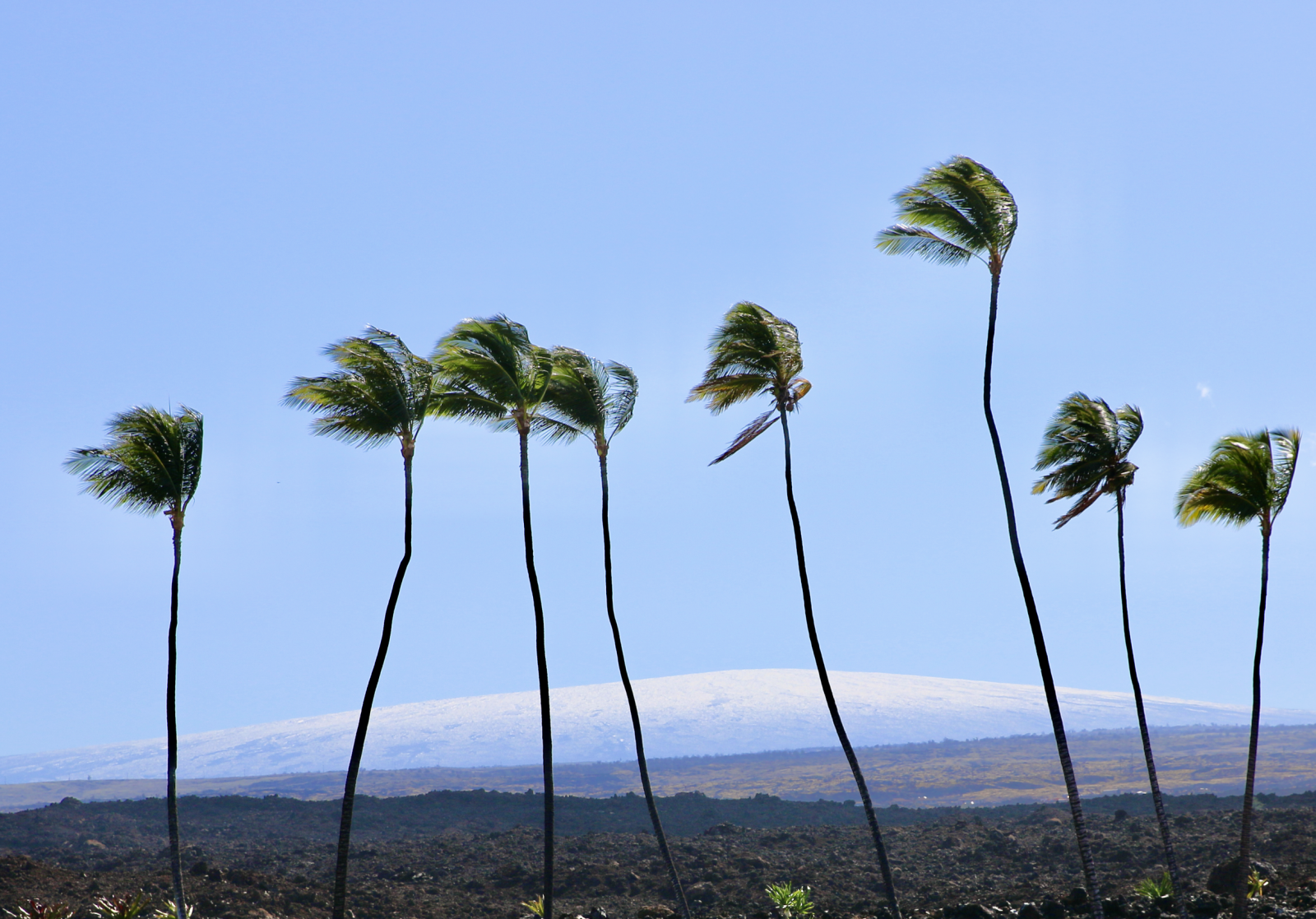 Mauna Loa after a snowstorm